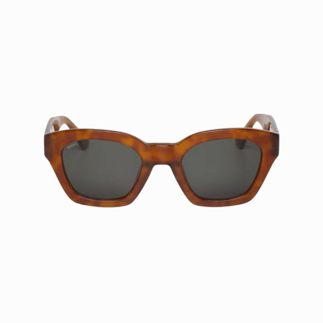 MR BOHO BARROSA CEDAR
